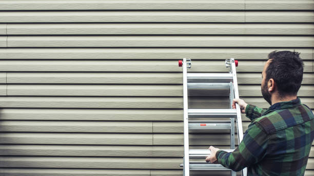 Best Custom Siding Design  in Horse Shoe, NC